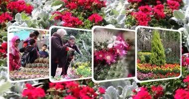 IMG-20250517-WA0128